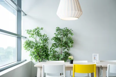Ikea financement : découvrez les nouvelles options pour meubler malin en 2026