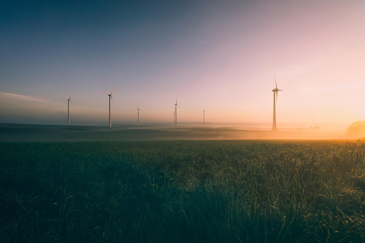 découvrez les pièges courants de la transition managériale et comment les éviter pour assurer une adaptation réussie et durable au sein de votre organisation. apprenez à naviguer dans les défis du changement et à optimiser le leadership pendant les périodes de transformation.