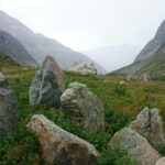 d&eacute;couvrez tout ce qu'il faut savoir sur les filiales : d&eacute;finition, fonctionnement, avantages et r&ocirc;le dans la strat&eacute;gie d'entreprise.